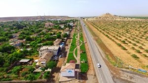 Ceylanpınar Marka Tescili